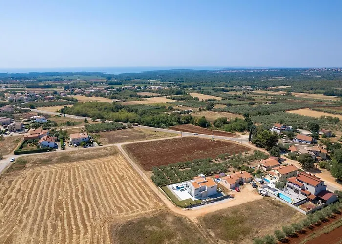 Grivicic 빌라